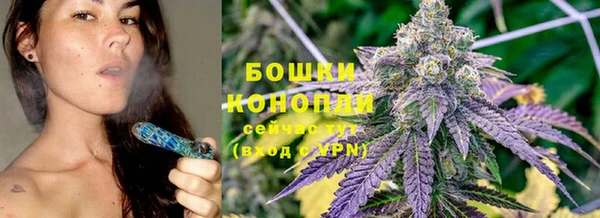сатива Белоозёрский
