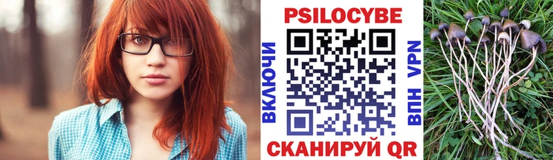 Галлюциногенные грибы MAGIC MUSHROOMS  как найти закладки  Гремячинск 